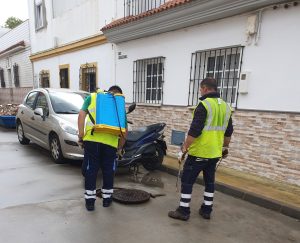 Imagen de la noticia: La Línea amplía el contrato de desratización y control de avifauna a más zonas