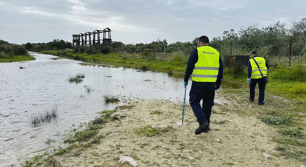 Imagen de la noticia: El Puerto sale de la alerta por el virus del Nilo en Campiña-Serrano pero sigue en riesgo alto