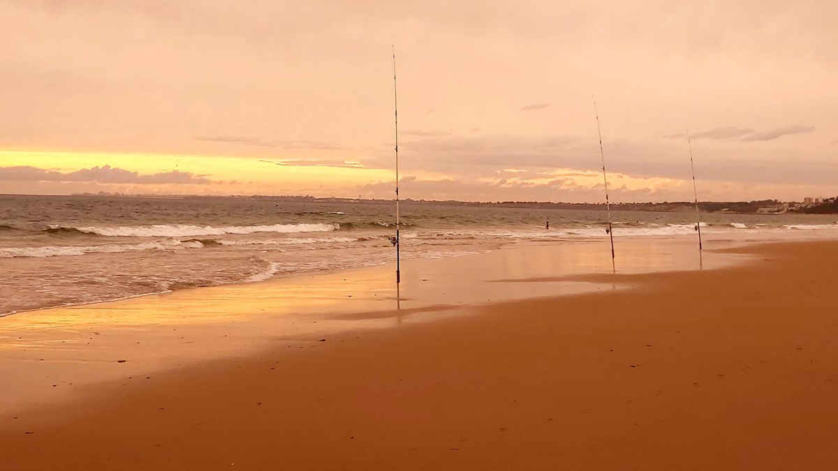 Imagen de la noticia: El Puerto de Santa María protagoniza un reportaje de surfcasting en Movistar Plus
