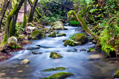 Imagen de la noticia: El Circuito de Senderismo afronta el sábado su ruta de Los Llanos del Campo a El Bosque