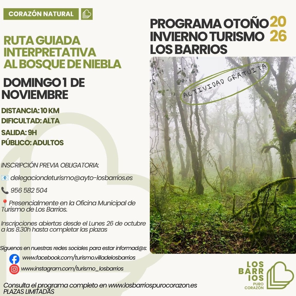 Imagen de la noticia: Ruta guiada al Bosque de Niebla el domingo 1 de noviembre