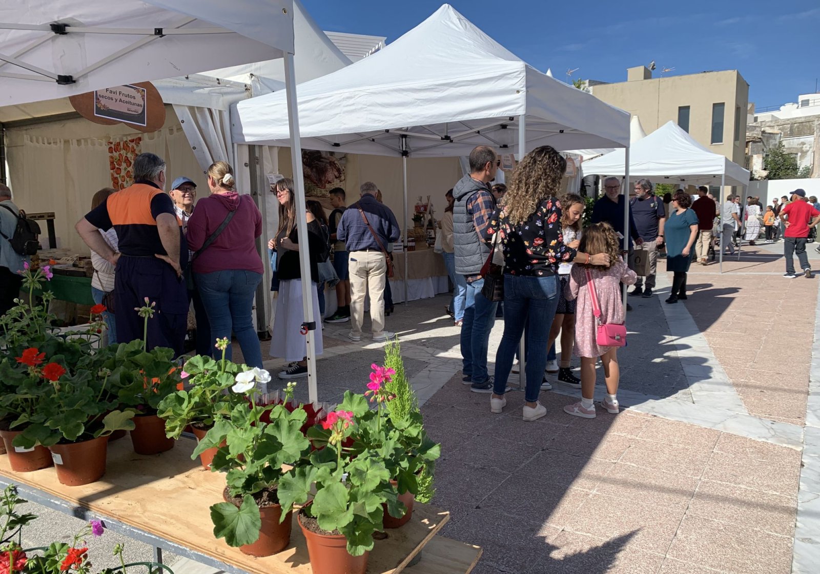 Puestos de mercado bajo carpas blancas con personas comprando y macetas de geranios en primer plano en una plaza.