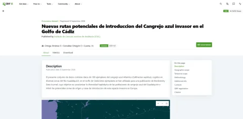 Imagen de la noticia: El ICMAN publica en GBIF sus primeros datos sobre el cangrejo azul