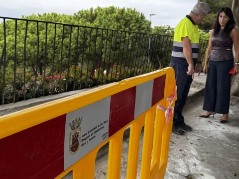 Imagen de la noticia: San Roque renueva el acerado del Mirador de Los Cañones