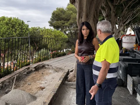 Imagen de la noticia: San Roque renueva el acerado del Mirador de Los Cañones