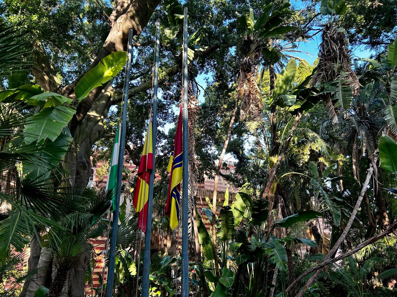 Tres mástiles con banderas ondeando entre árboles y grandes hojas verdes, con un edificio de ladrillo al fondo.